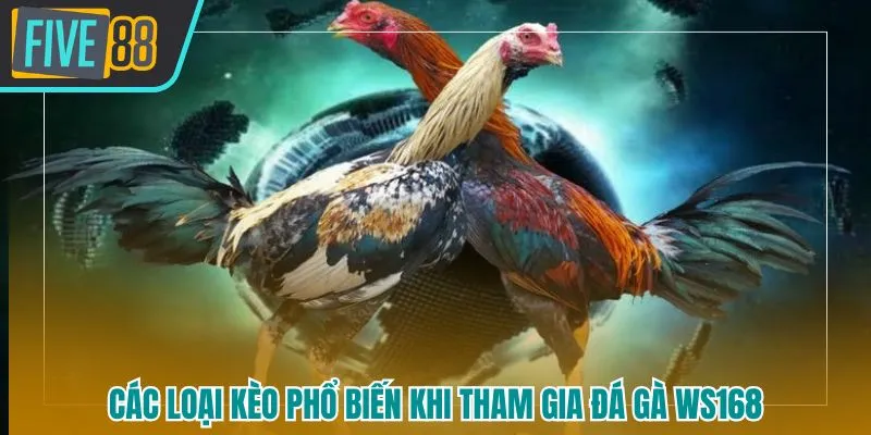 Nền tảng FIVE88 cung cấp đa dạng loại kèo giúp người chơi dễ dàng lựa chọn